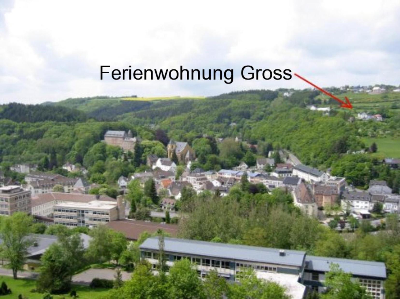 Ferienwohnung Gross A Schleiden Eksteriør billede